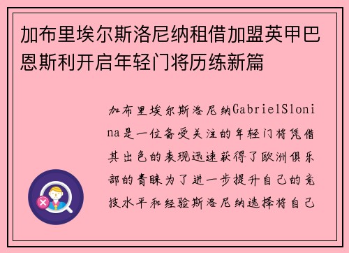 加布里埃尔斯洛尼纳租借加盟英甲巴恩斯利开启年轻门将历练新篇
